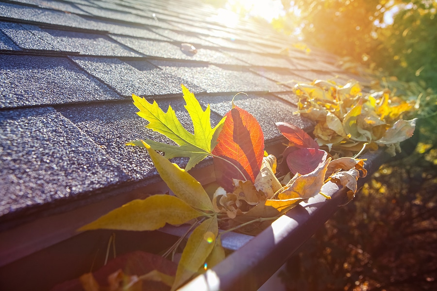 Preparing Your Home for Fall: 3 Essential Maintenance Tips