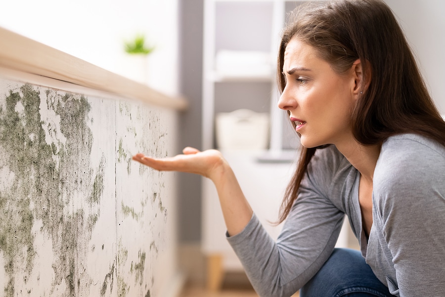 How to Protect Your Home Against Mold During the Rainy Season